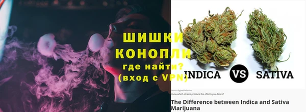 PSILOCYBIN Белокуриха