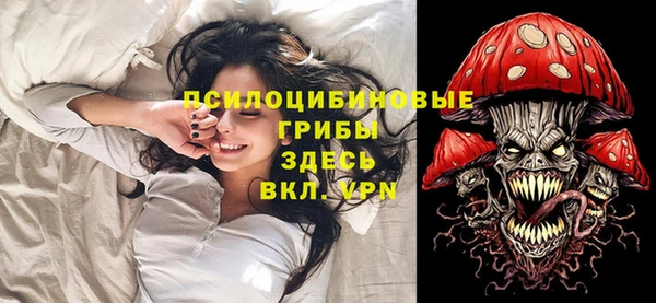 PSILOCYBIN Белокуриха