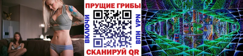 Галлюциногенные грибы Psilocybine cubensis  Салаир 